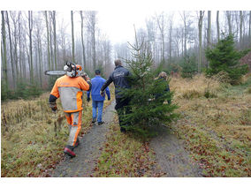Es weihnachtet in St. Crescentius (Foto: Karl-Franz Thiede)